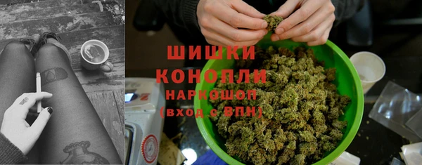 ALPHA PVP Рославль