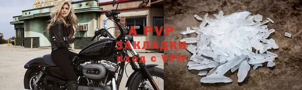 спиды Ростов