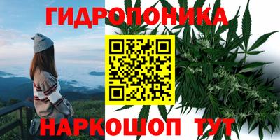 прущие грибы Гусиноозёрск