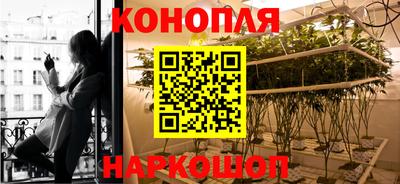прущие грибы Гусиноозёрск
