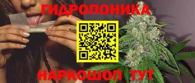 прущие грибы Гусиноозёрск