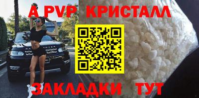 прущие грибы Гусиноозёрск