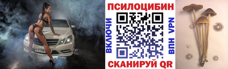 Псилоцибиновые грибы Cubensis  Новотроицк 