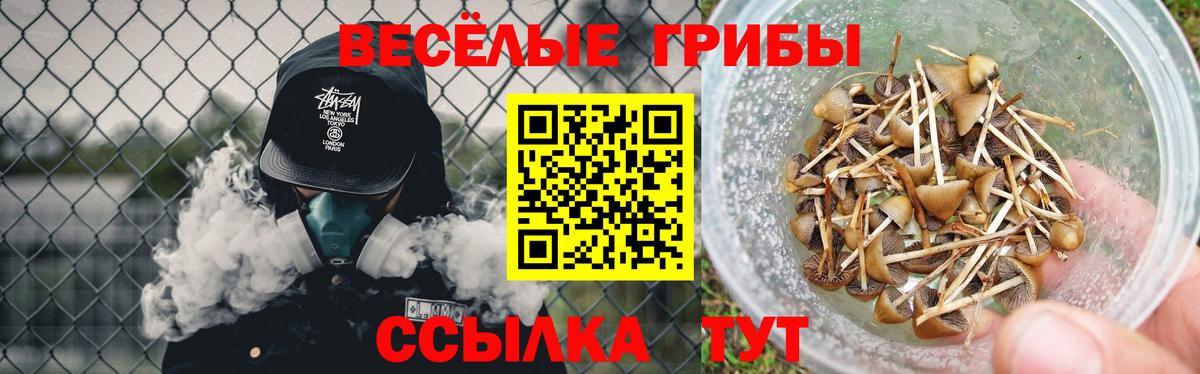 Галлюциногенные грибы мухоморы Новотроицк